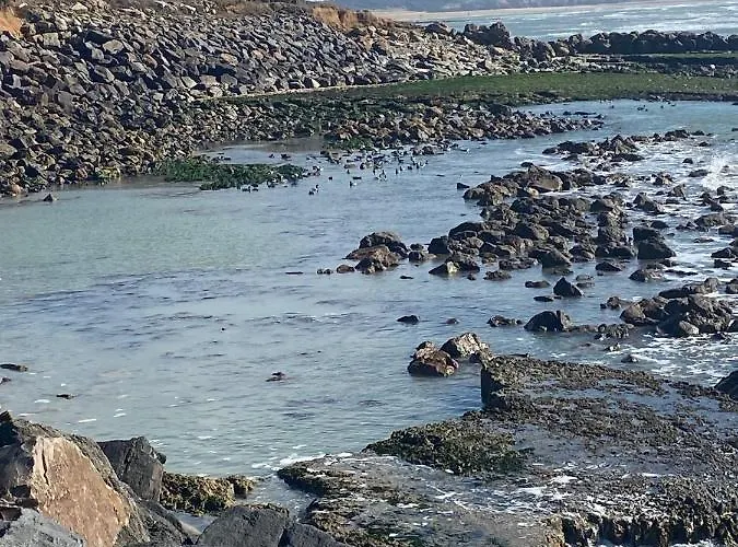 Grand 4 Etoiles Vue Et 2 Terrasses Talmont-Saint-Hilaire